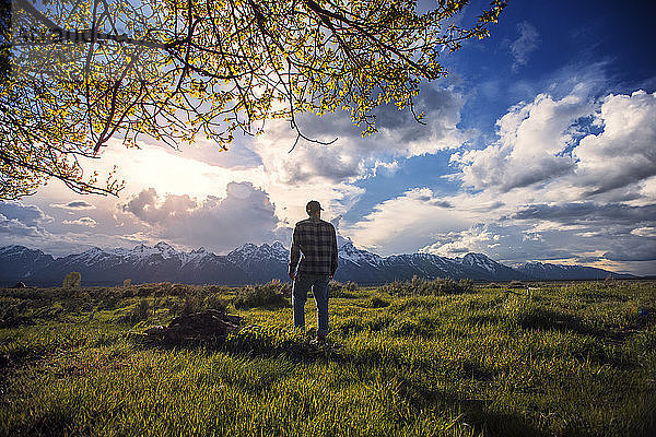 Rückansicht eines Mannes  der auf einem Grasfeld steht und auf die Aussicht schaut