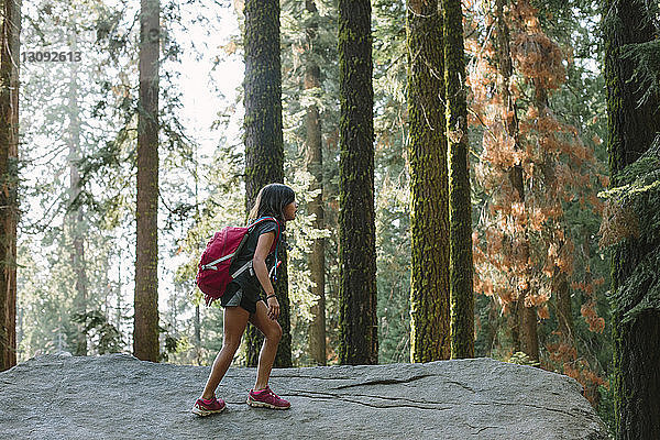 Mädchen mit Rucksack auf Fels im Wald