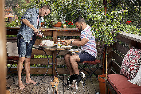Homosexuelles Paar bereitet mit Chihuahuas Hühnchen auf dem Balkon zu