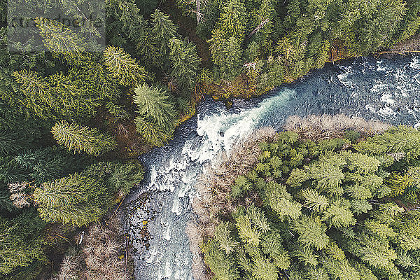 Hochwinkelaufnahme eines Flusses  der inmitten von Bäumen im Wald fließt