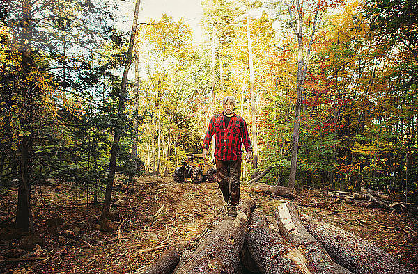 Holzfäller in voller Länge auf Stämmen im Wald unterwegs