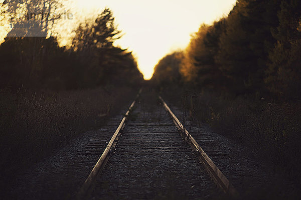 Eisenbahnschiene inmitten von Baumsilhouetten und Pflanzen gegen den Himmel bei Sonnenuntergang