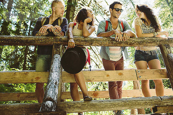 Niedriger Blickwinkel auf glückliche Freunde  die sich unterhalten  während sie auf einem Steg im Wald stehen