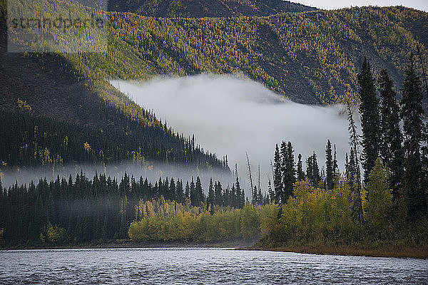 Landschaftliche Ansicht des Flusses bei Bäumen Yukon_Charley Rivers National Preserve bei nebligem Wetter