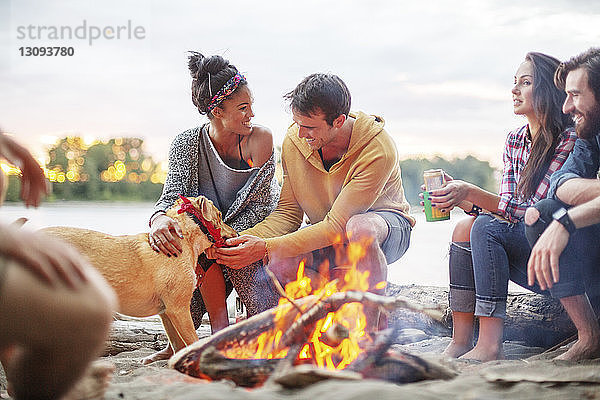 Glückliche Freunde mit Hund am Lagerfeuer am Fluss