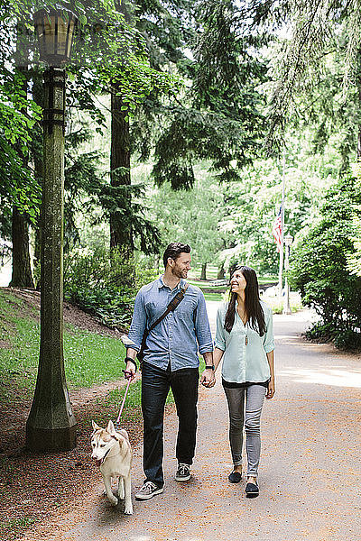 Glückliches Paar hält sich an den Händen und geht mit Hund im Park auf dem Fußweg