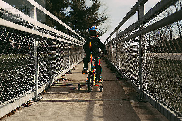 Rückansicht eines Jungen auf dem Fahrrad auf einem Fußweg zwischen Zäunen