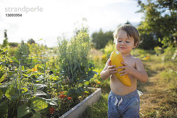Junge ohne Hemd hält frische Zucchini  während er im Gemeinschaftsgarten gegen den Himmel steht