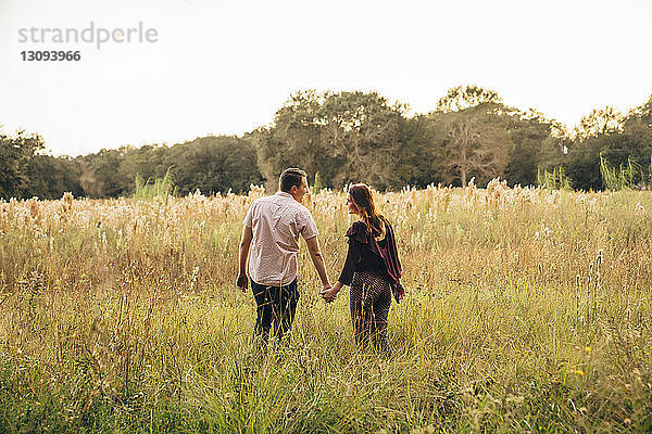 Rückansicht eines Paares  das sich bei Sonnenuntergang beim Spaziergang auf einem Grasfeld im Park an den Händen hält