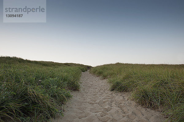 Sandfarbener Fussweg auf Grasfeld vor klarem blauen Himmel