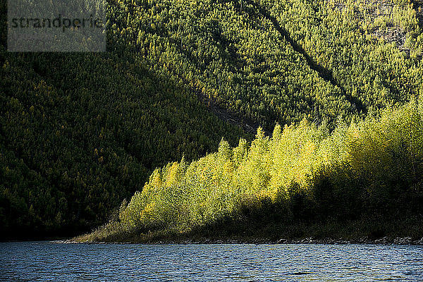 Fluss für Baumberg am Yukon_Charley Rivers National Preserve