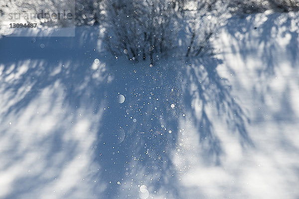 Niedrigwinkelansicht von Schnee in der Luft gegen bewölkten Himmel im Winter