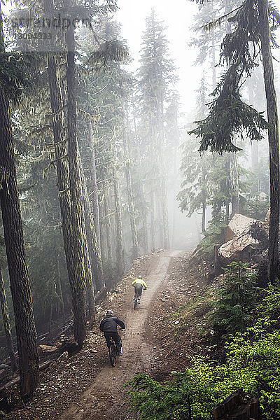 Hochwinkelaufnahme von männlichen Freunden beim Mountainbiken im Wald bei nebligem Wetter
