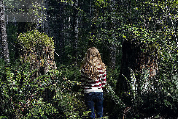 Rückansicht einer Frau  die inmitten von Bäumen im Wald steht