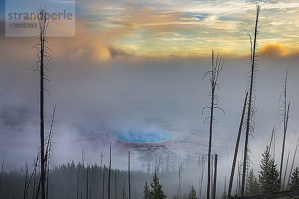 Landschaftliche Ansicht des Dampfes  der aus einer heißen Quelle im Yellowstone-Nationalpark austritt