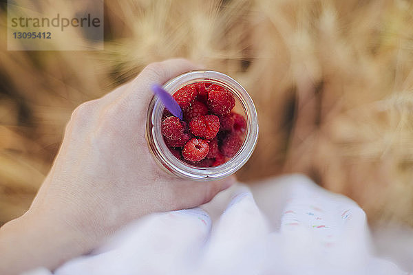 Geschnittene Hand einer Frau  die auf dem Feld Himbeeren in einem Glas hält