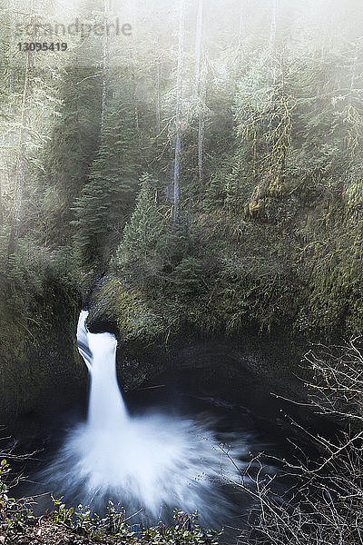 Erhöhte Ansicht eines Wasserfalls im Wald