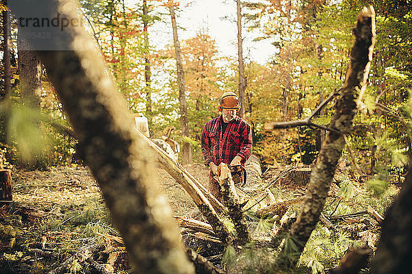 Männlicher Holzfäller beim Holzfällen mit der Kettensäge im Wald