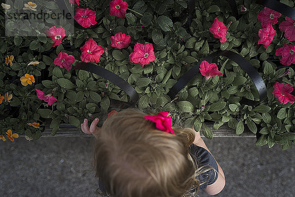 Draufsicht eines Mädchens bei blühenden Pflanzen auf einem Fußweg im Park