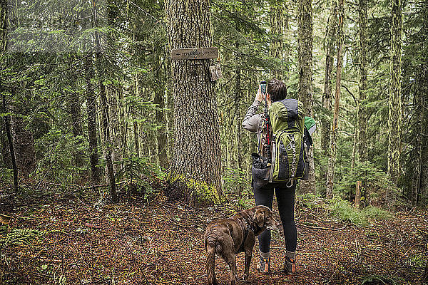 Rückansicht einer Frau  die einen Baum im Wald beim Wandern mit Hund fotografiert