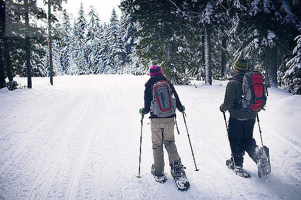 Paar Schneeschuhwandern im Wald