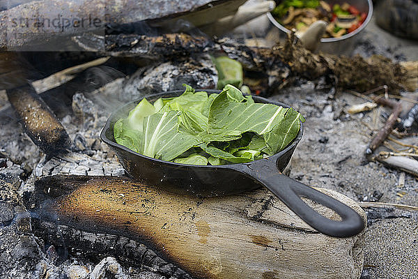 Kohl im Kochgeschirr auf dem Campingplatz