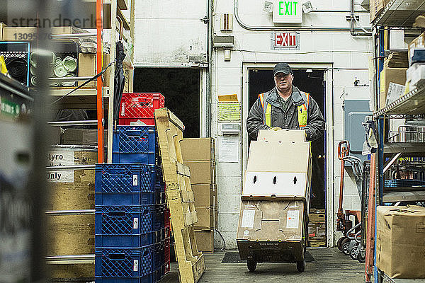 Mann trägt Kiste im Gepäckwagen bei der Arbeit im Lager