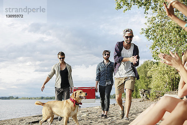 Männliche Freunde tragen Kühler  während sie auf Sand am Flussufer gegen den Himmel laufen