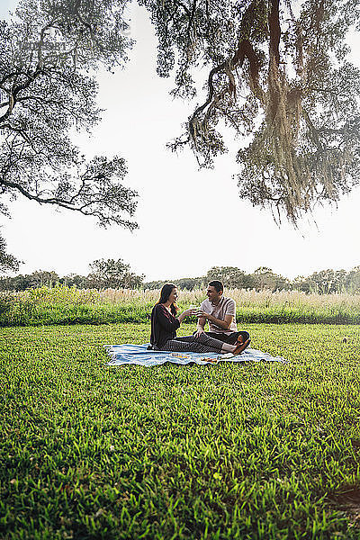 Ein Paar trinkt im Park auf einer Decke gegen den Himmel sitzend