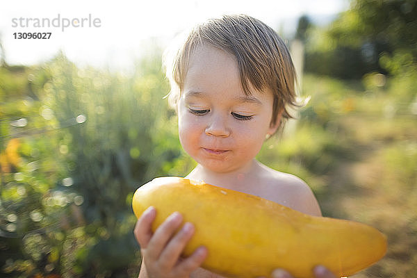 Junge ohne Hemd schaut frische Zucchini an  während er im Gemeinschaftsgarten steht