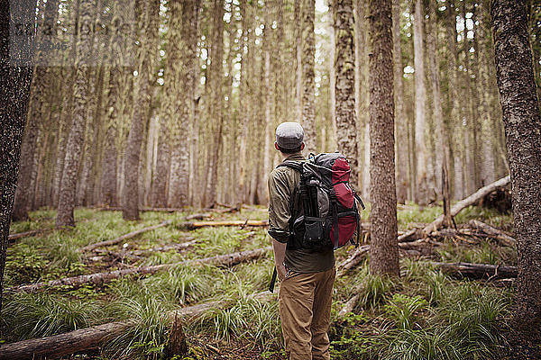 Mann trägt Rucksack  während er im Wald steht