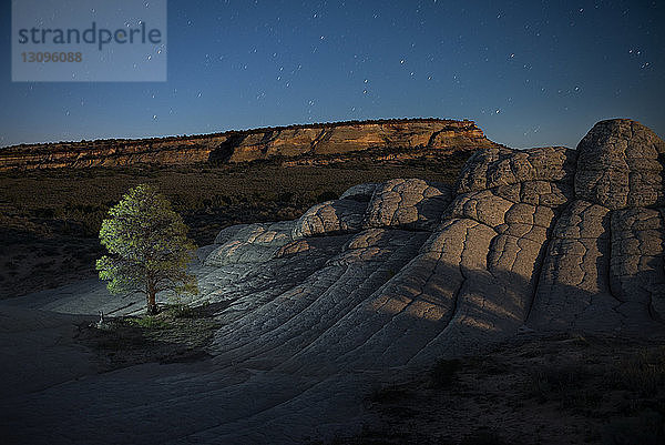 Hochwinkel-Szenenansicht des Baumes im Marble Canyon gegen das Sternenfeld