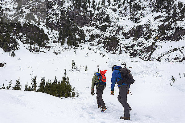 Freunde wandern auf schneebedecktem Hügel