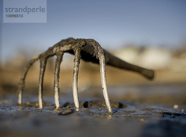 Nahaufnahme einer Gartenarbeitsgabel im Sand