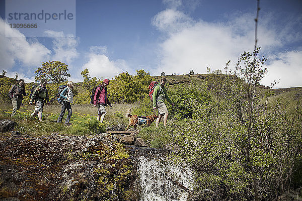 Glückliche Freunde mit Hund beim Bergwandern
