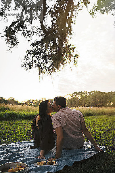 Rückansicht eines Paares  das sich bei Sonnenuntergang auf einer Decke im Park küsst