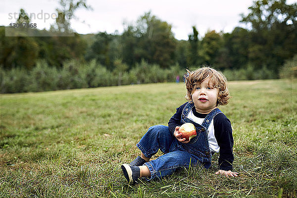 Porträt eines kleinen Jungen  der einen Apfel hält  während er auf einem Grasfeld im Obstgarten sitzt