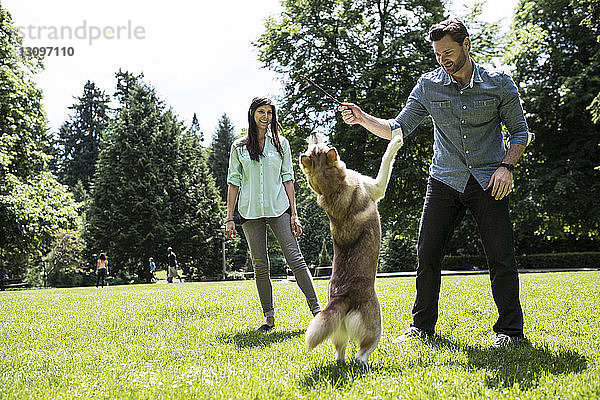 Glückliches Paar spielt mit Hund auf Grasfeld im Park