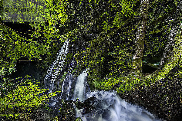Szenische Ansicht eines Wasserfalls über Felsen im Wald