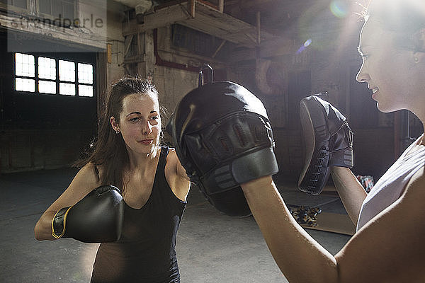Zuversichtliche Boxerinnen beim Training im Fitnessclub