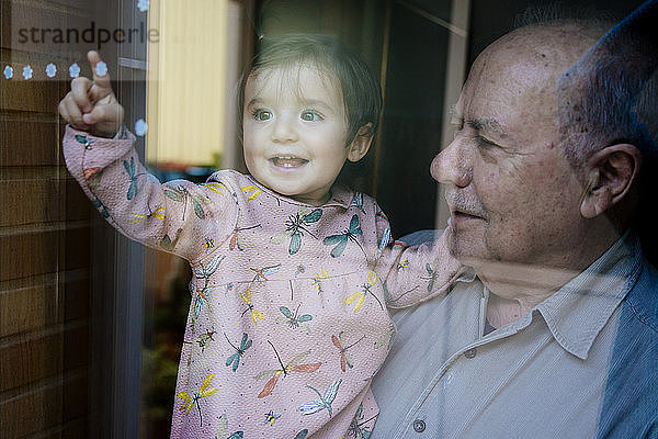 Fröhliche Enkelin berührt Blumenmuster am Fenster  während sie vom Großvater zu Hause getragen wird