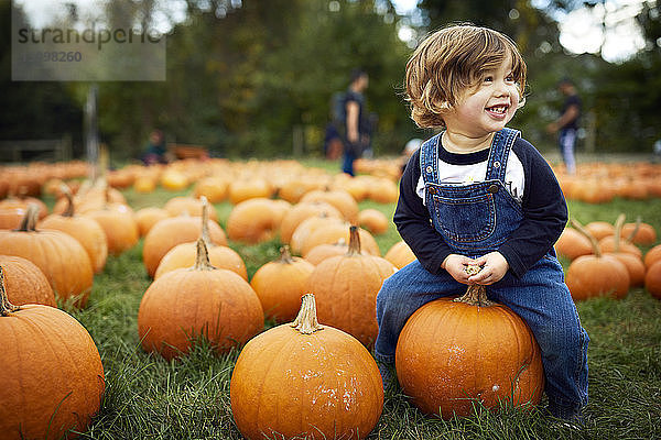 Lächelnder kleiner Junge sitzt auf dem Bauernhof auf einem Kürbis
