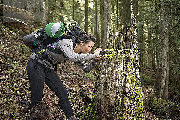 Frau fotografiert Baumstumpf mit Smartphone im Wald