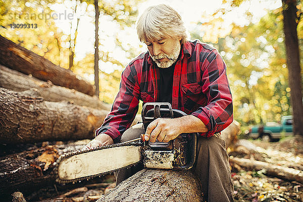 Männlicher Holzfäller untersucht Kettensäge  während er im Wald auf einem Baumstamm sitzt
