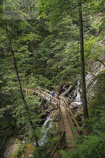 Fernsicht auf Wanderer  die den Holzsteg über den Bach im Wald überqueren