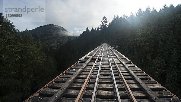 Abnehmende Perspektive einer Eisenbahnbrücke im Wald