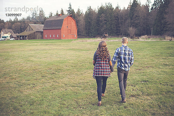 Rückansicht eines Paares  das sich an den Händen hält und auf einem Grasfeld geht
