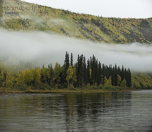 Blick auf den Fluss im Yukon_Charley Rivers National Preserve bei nebligem Wetter