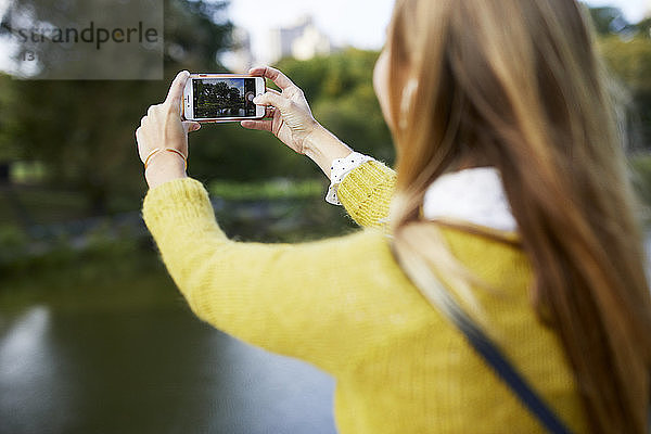 Junge Frau fotografiert Bäume im Park