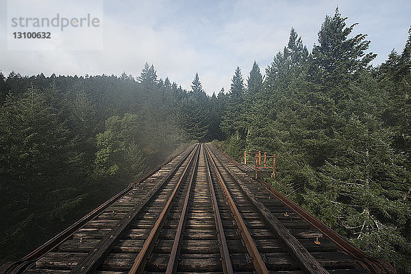 Abnehmende Perspektive der Eisenbahnbrücke gegen den Himmel im Wald